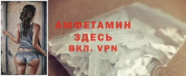 сатива Арсеньев
