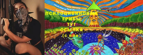 сатива Арсеньев