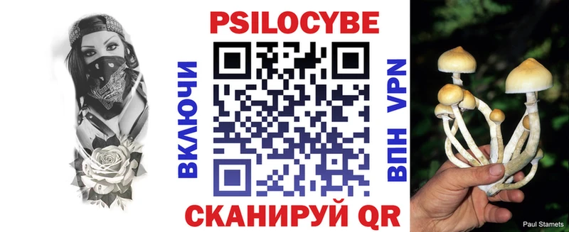 Псилоцибиновые грибы мицелий  это официальный сайт  Волгодонск 