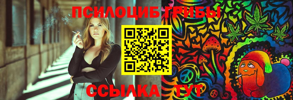 Волгодонск  Псилоцибиновые грибы Psilocybe  Вход с VPN 